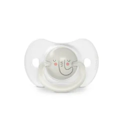 Lot de 2 sucettes phosphorescentes SX Pro 6/18M Night&Day
