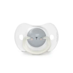 Lot de 2 sucettes phosphorescentes SX Pro 6/18M Night&Day